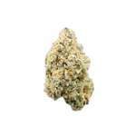 avaay 24/1 BPM Baby Pam